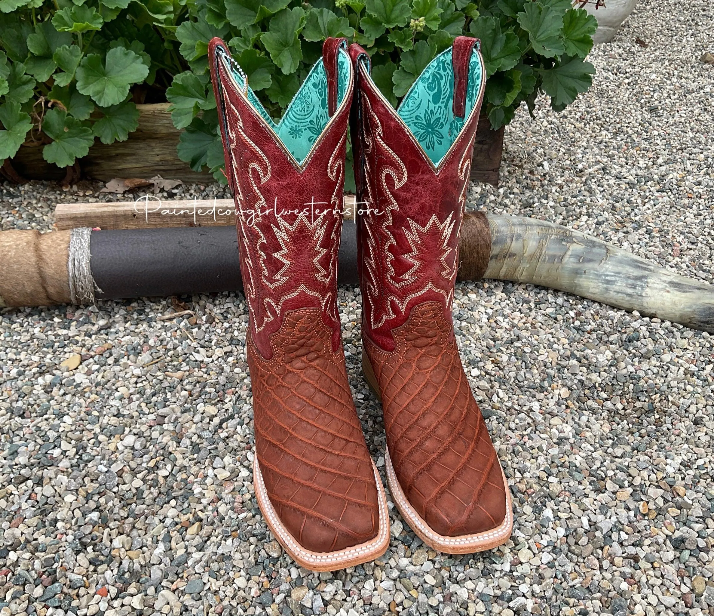 Corral Women's Cognac/Red Alligator Square Toe Cowgirl Boots A4200