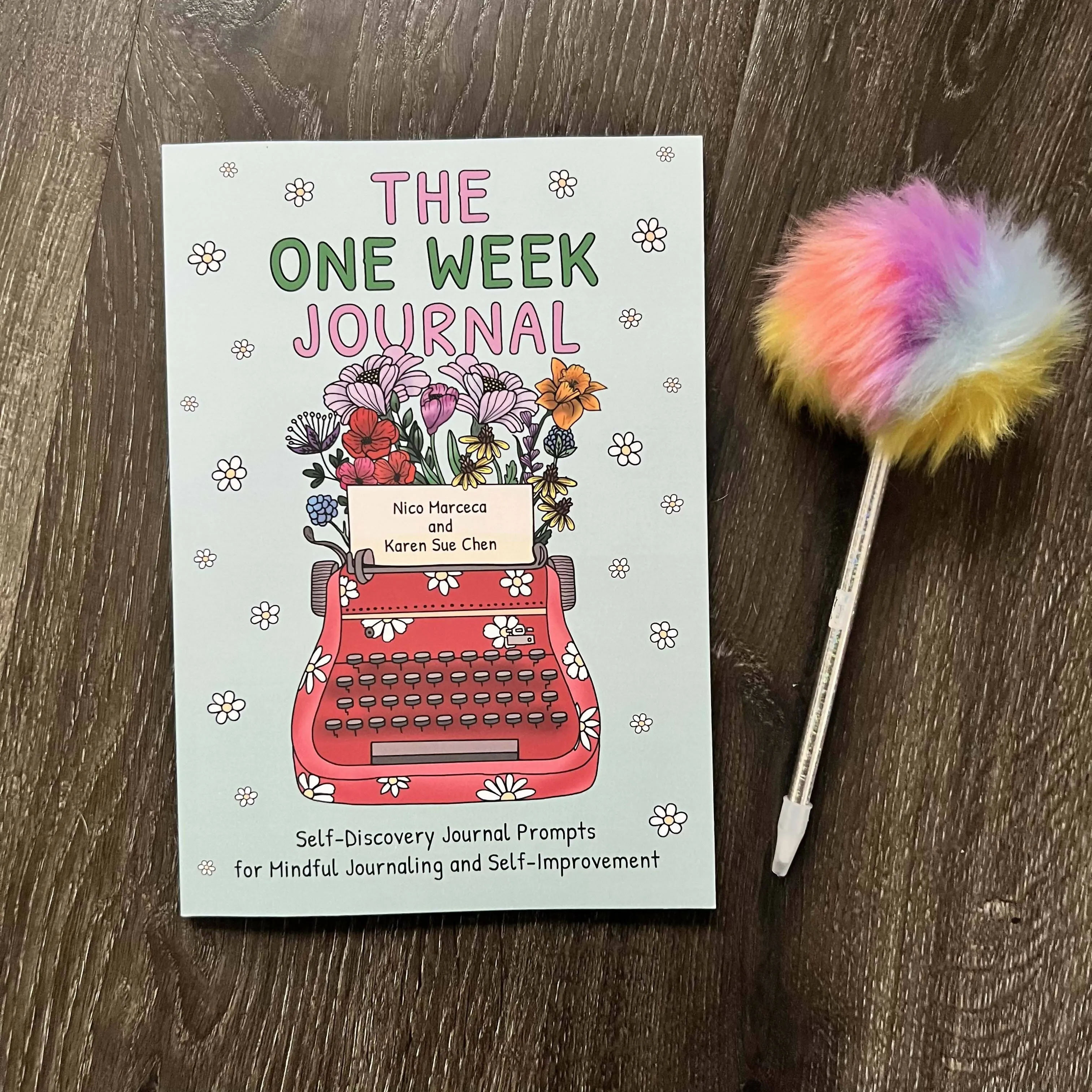 Karen Sue Studios - One Week Journal