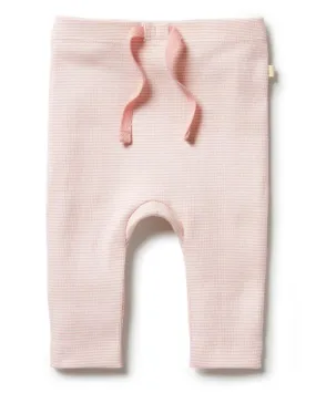 Wilson & Frenchy Leggings 0-3M